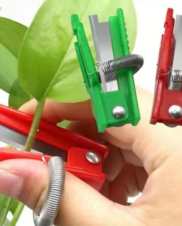 taglierino per talee pothos 2 Taglierina da Dito per Giardinaggio – Cutter Preciso per Talee, Potature e Raccolta Foglie